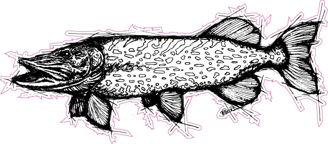 Pike Sketch Fishing Sticker Small.