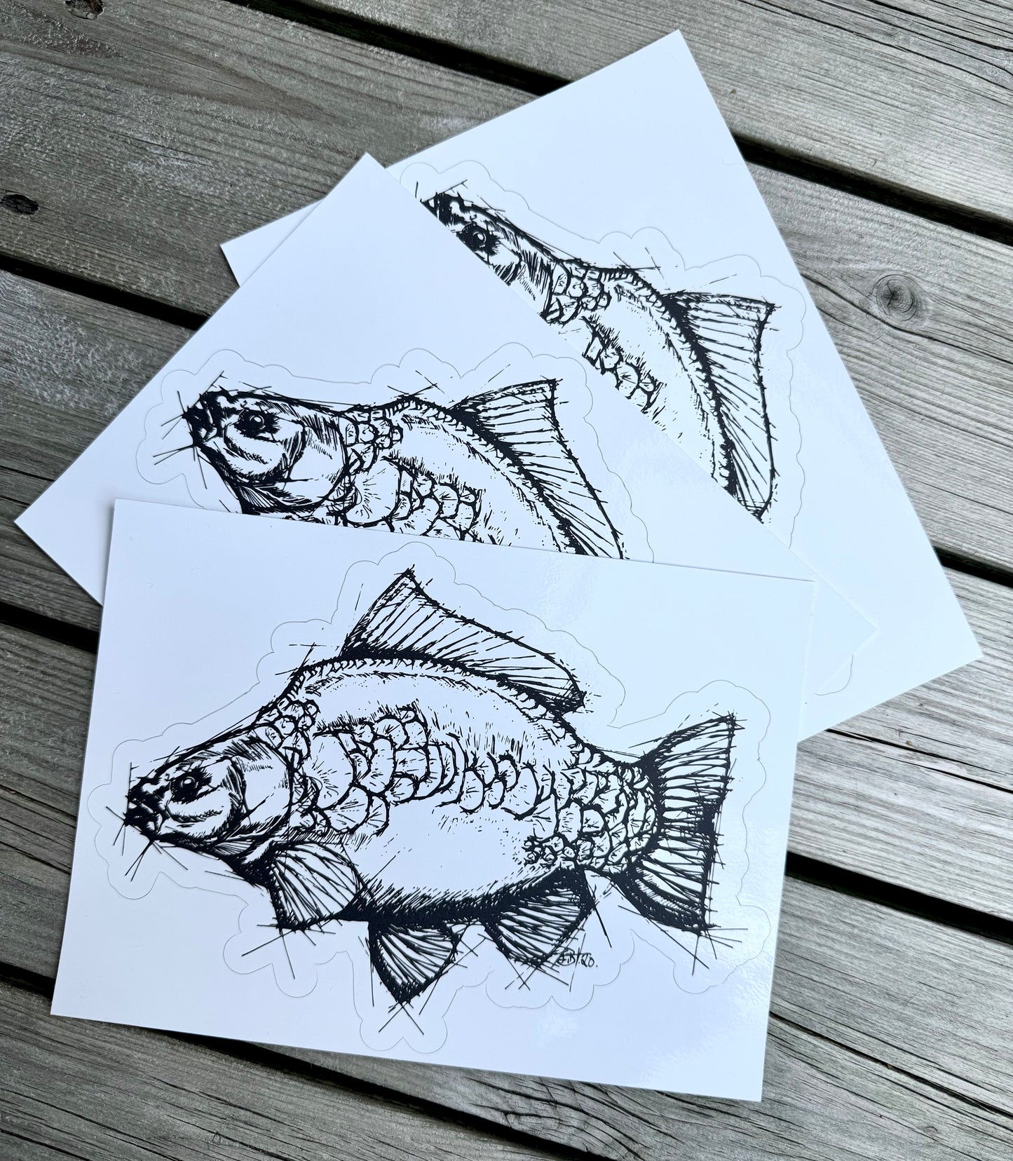 Carp Sketch Sticker