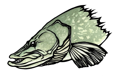 PikeDrop Sticker