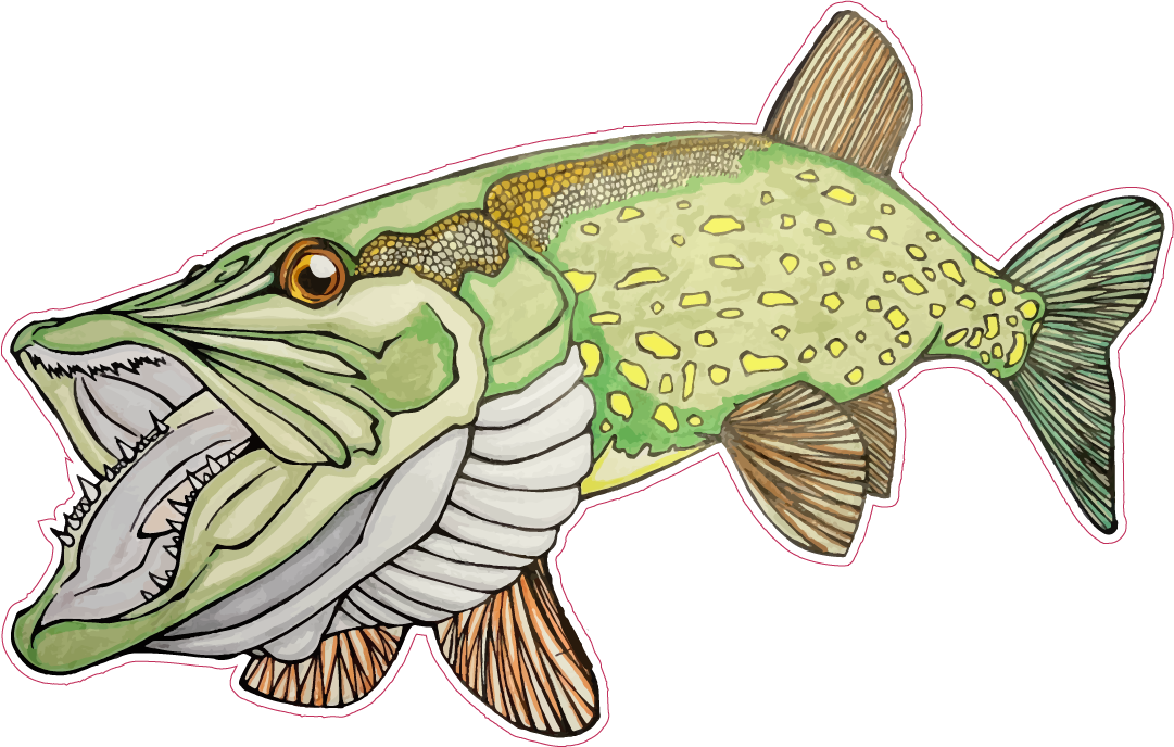 Pike Jaws Boat Sticker.