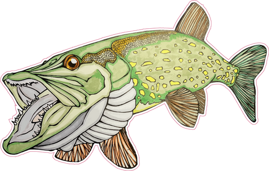 Pike Jaws Boat Sticker.