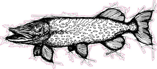 Pike Sketch Fishing Sticker Small.